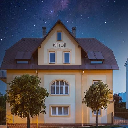 Villa Matylda Марианске-Лазне Экстерьер фото